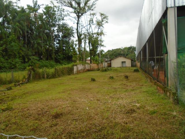 Terreno para alugar em America, Joinville cod:05753.004 - Foto 8