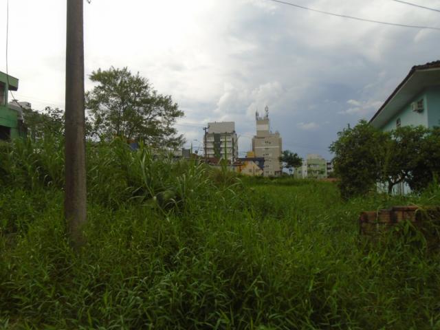 Terreno para alugar em Santo antonio, Joinville cod:07792.003 - Foto 5