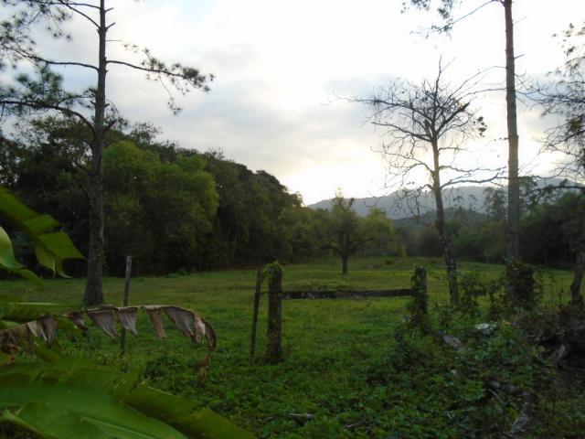 Terreno para alugar em Zona industrial norte, Joinville cod:06691.006 - Foto 4
