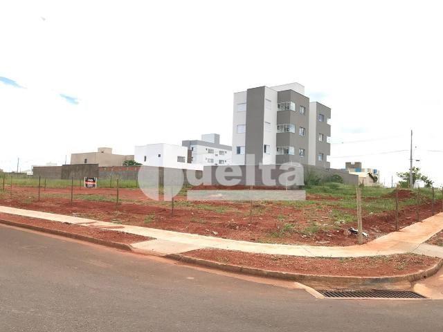 Terreno para alugar em Nova alvorada, Uberlândia cod:579795