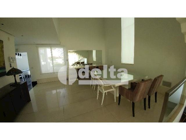 Casa para alugar com 0 dormitórios em Patrimônio, Uberlândia cod:559204 - Foto 14