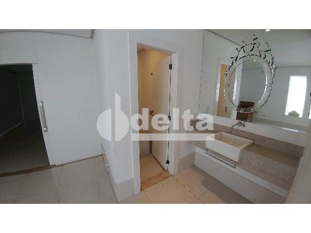 Casa para alugar com 0 dormitórios em Patrimônio, Uberlândia cod:559204 - Foto 10