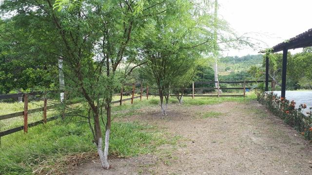 Sítio com 11.67 hectares em Igarassu/PE - Foto 2