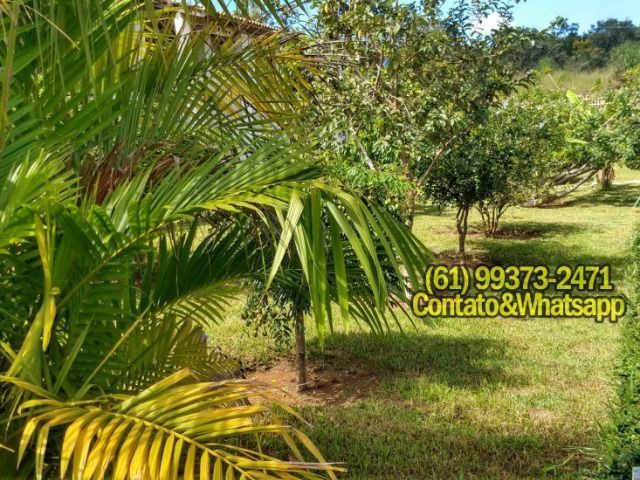 Casa no Lago Corumbá IV Condomínio Palmeiras - Foto 16