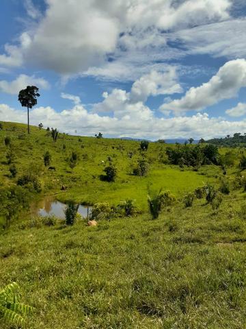 Venda fazenda 20 alqueires localizada 5 km da vila Paulo fonteles - Foto 6