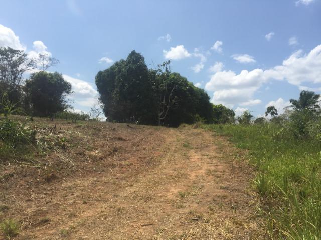 Terreno para chácara no bujari - Foto 3