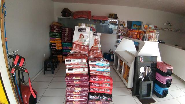 Petshop / Banho e Tosa completo - Foto 8