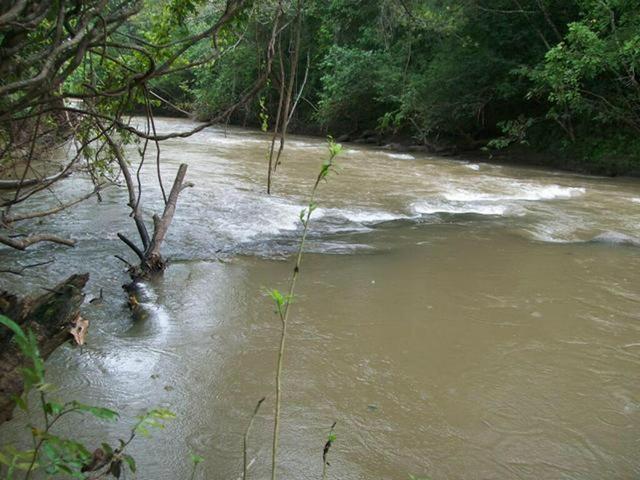 VENDO SÍTIO 22,6 Alq. próximo de Itapirapuã e Águas de São João- Goiás R$2Milhões - Foto 10