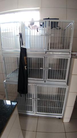 Petshop / Banho e Tosa completo - Foto 6