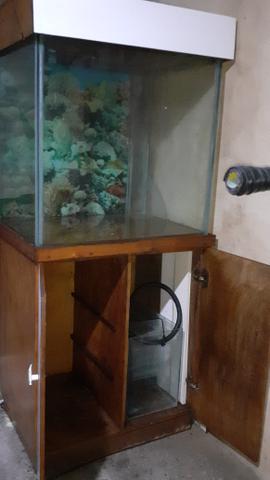 Vendo aquário completo com bomba e filtro - Foto 3