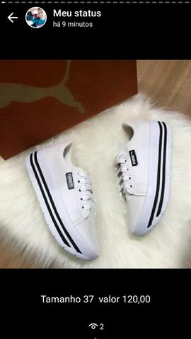 Tenis