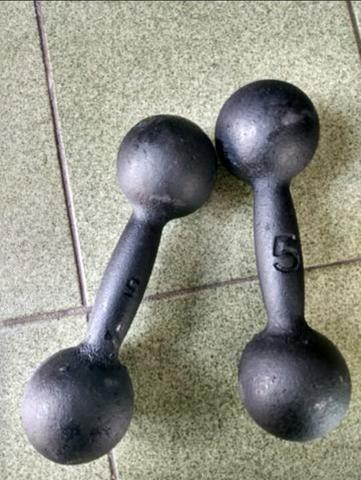 Halteres