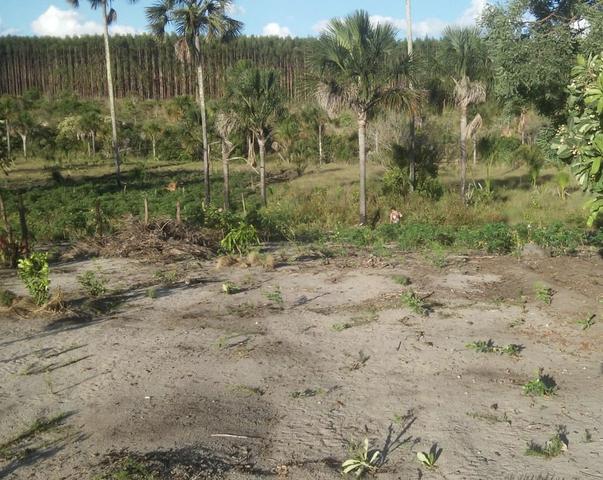 Sitio no Formoso - Buritizeiro MG - Foto 14