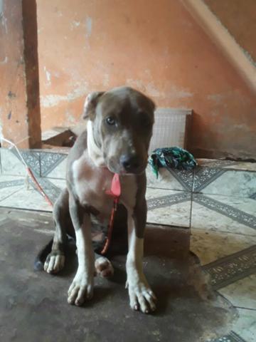 Vendo ou troco - Foto 4
