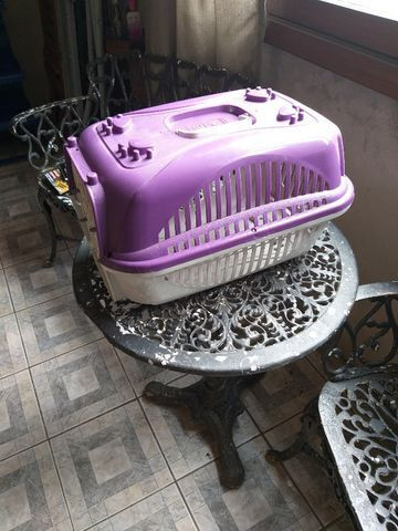Caixas para transporte de gatos - Foto 4