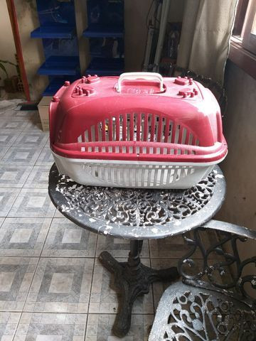 Caixas para transporte de gatos - Foto 6