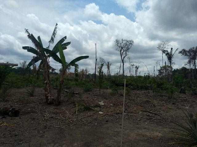 Vendo sitio no lago da samuel 50 mil - Foto 5