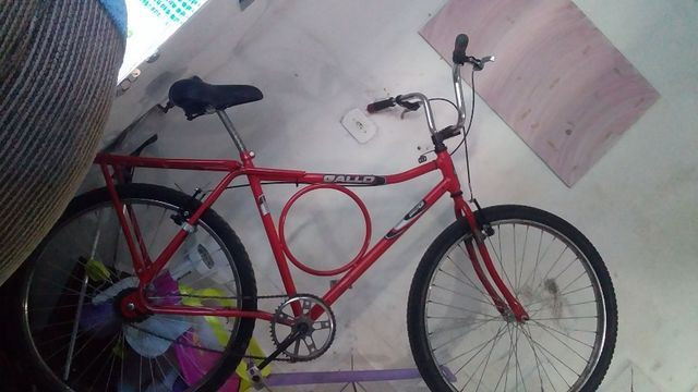 Bicke barra circular adulto