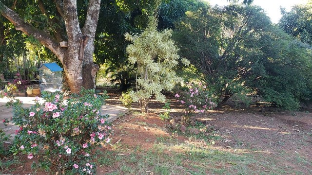 Vende-se uma Chácara na Ponte Alta - Foto 2