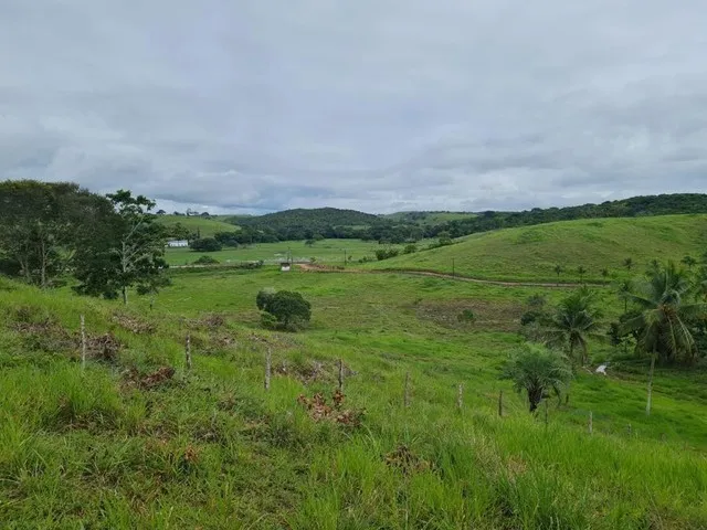 Belissima Fazenda em Santa Luzia, 1.800 tarefas