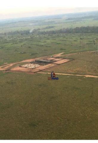 Belíssima fazenda a venda na divisa de Rondônia com o estado de mato grosso - Foto 12