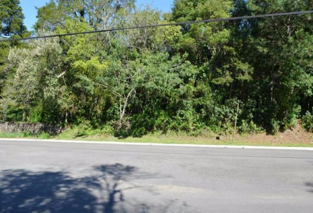 Terreno à venda, 785 m² por r$ 700.000,00 - mato queimado - gramado/rs