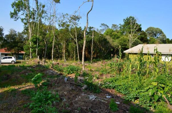 Terreno residencial à venda, vale dos pinheiros, gramado. - Foto 7