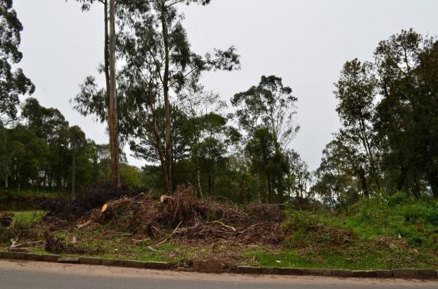 Terreno residencial à venda, casa grande, gramado. - Foto 4