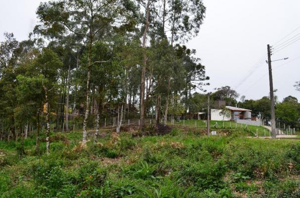 Terreno residencial à venda, casa grande, gramado. - Foto 7