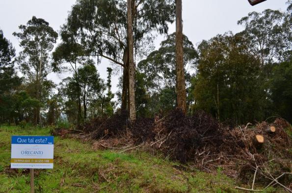 Terreno residencial à venda, casa grande, gramado. - Foto 9