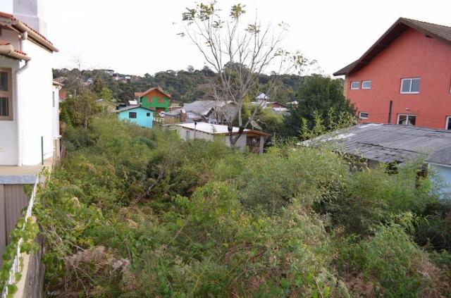 Terreno residencial à venda, são josé, canela. - Foto 5