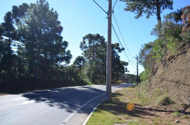 Terreno à venda, 831 m² por r$ 290.000,00 - mato queimado - gramado/rs - Foto 10