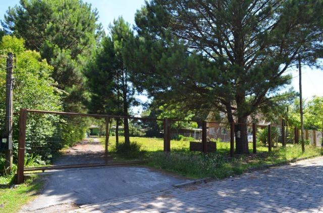 Terreno à venda, 3945 m² por R$ 3.500.000,00 - Centro - Canela/RS - Foto 4