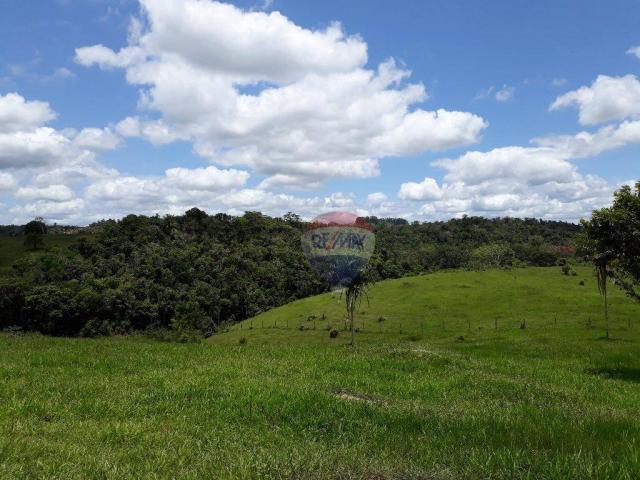 Fazenda à venda em Porto Seguro (Vera Cruz), Bahia - Foto 16