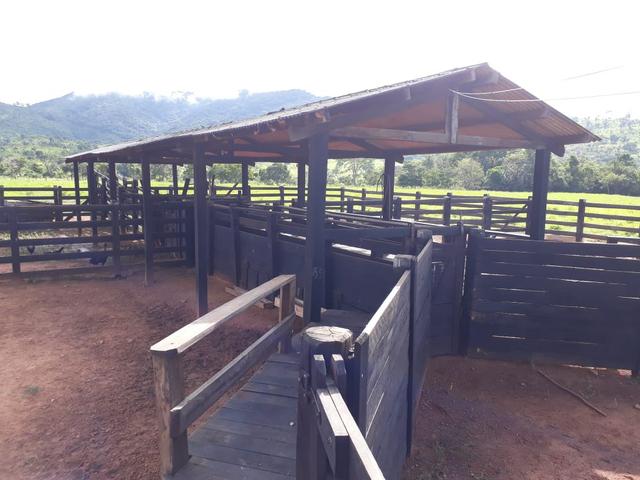 Fazenda em Santo Antônio á venda - Foto 16