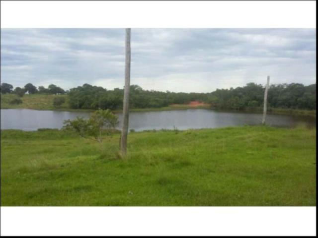 Fazenda em Cáceres 700 hectares - Foto 7