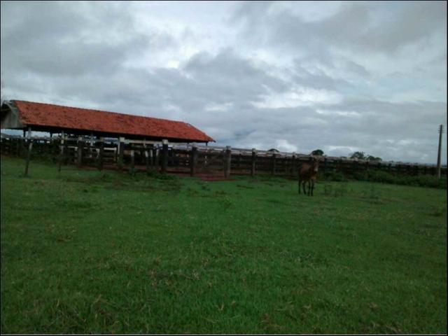 Fazenda em Cáceres 2.627 hectares á venda - Foto 2