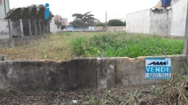 Terreno no Bairro Meia Praia - Foto 2