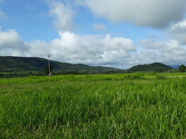 Fazenda em Santo Antônio á venda - Foto 14