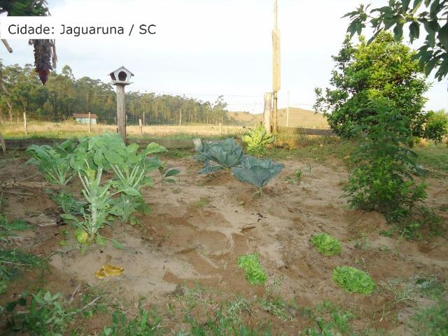 Aluga-se casa e Galpão no Laranjal - Foto 19