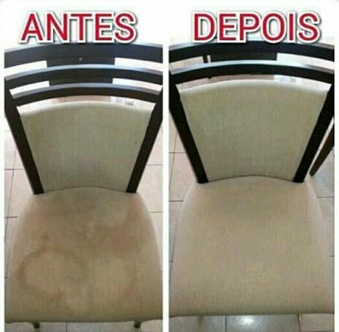 Limpeza e proteçao em domicilio - Foto 5