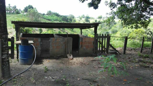 Sitio - Foto 10