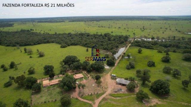 Fazenda à venda, por R$ 21.000.000 - Lagoa da Confusão/TO - Foto 2
