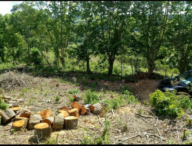 Terreno no Vale dos Vinhedos - Foto 4