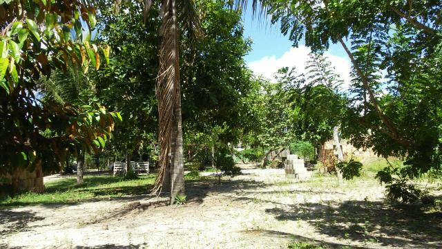 Sitio - Foto 15