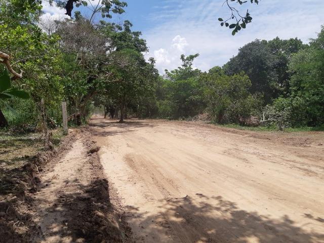 Paraíso da Família - Foto 3