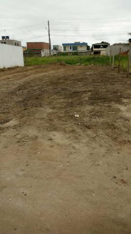 Lote - Foto 3