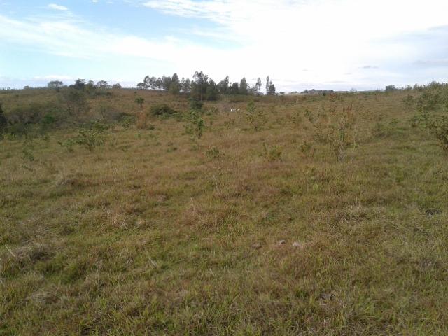 Fazenda de 51 alqueires - Foto 3