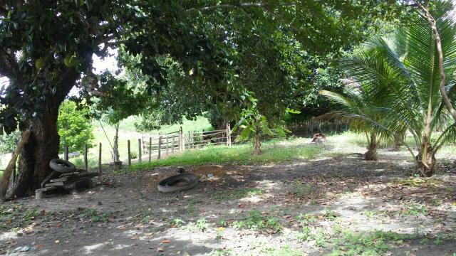 Sitio - Foto 12