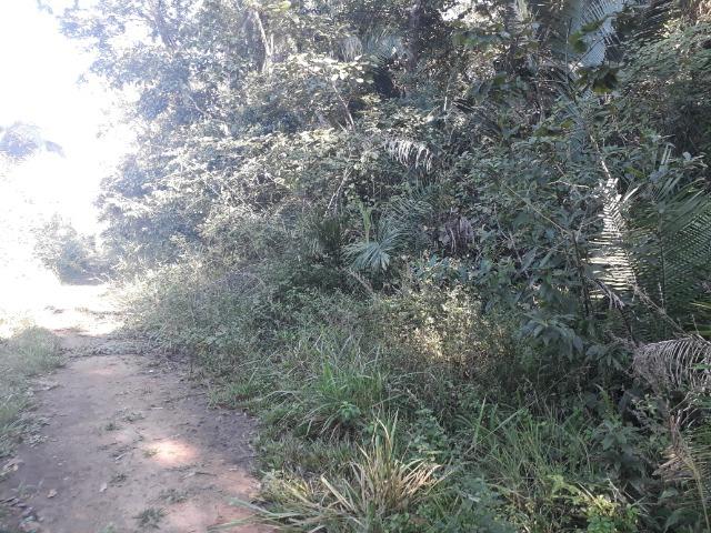 Fazenda de 785 hectares em Rosário Oeste MT - Foto 14